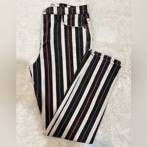 Frame Denim Le Sylvie Slender Straight Leg Striped Denim Jeans Size 28